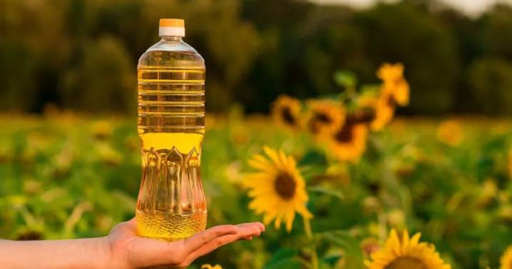 Adiós al aceite de girasol: la nueva opción que lo reemplaza en la cocina y tiene miles de beneficios 