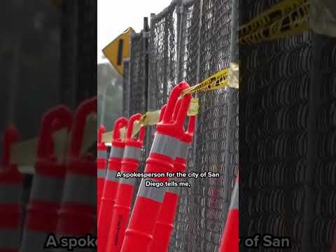 City of San Diego removes trees in Mission Beach to install water quality basins