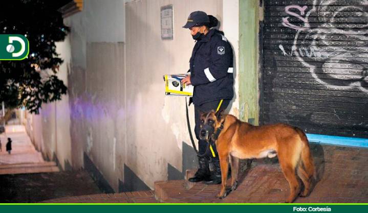 Nueva regulación protege a los perros de seguridad: no podrán trabajar más de 8 horas al día