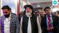 Taliban commerce minister visits India to bolster trade ties