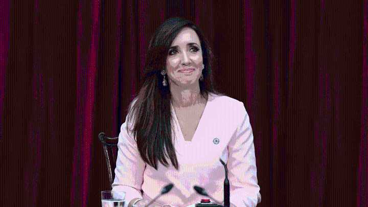 Reapareció Villarruel: «no soy servil»