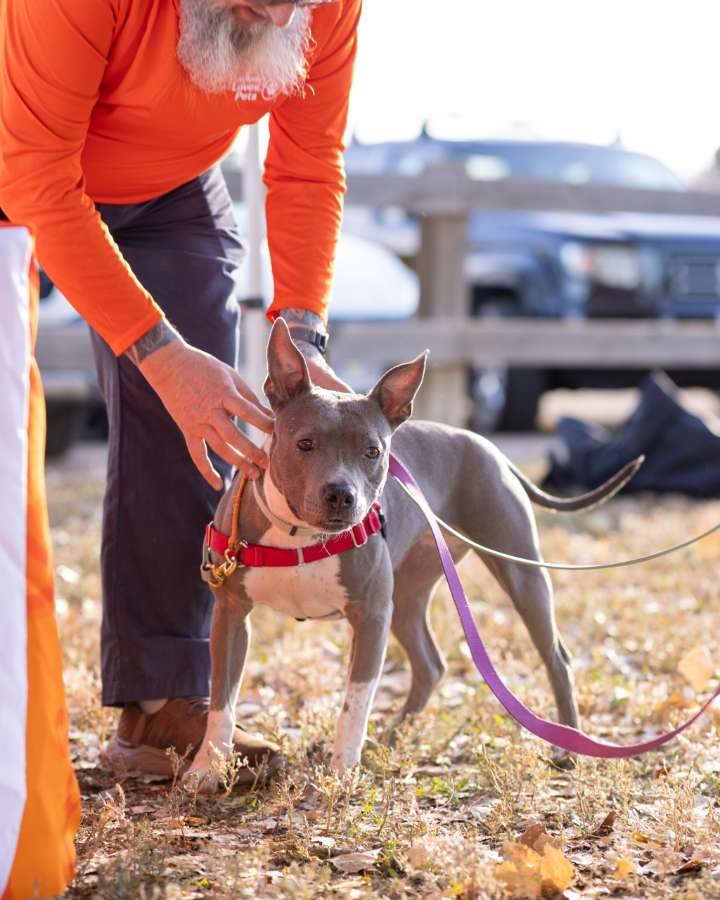 Longmont Humane Society Pet of the Week for Nov. 8, 2025
