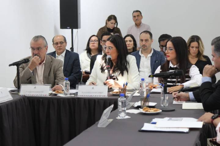 Preocupa a diputados la caída de asistentes a actividades de la Secretaría de Cultura