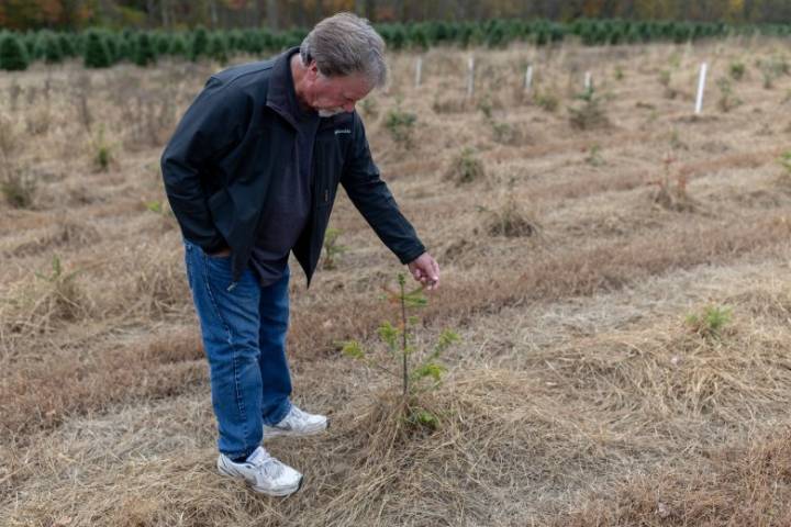 Federal government offers emergency loans to Maine small businesses hurt by drought