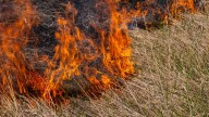 Sunday expected to bring more fire danger to San Antonio. Here's what to know.