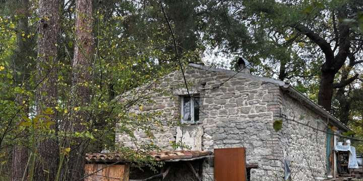 El caso de la “familia del bosque” que divide a Italia: ¿libertad de vida alternativa o negligencia parental?