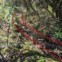 Study Finds Most Farmers Want Upfront Pay for Buffer Projects, Not Pay