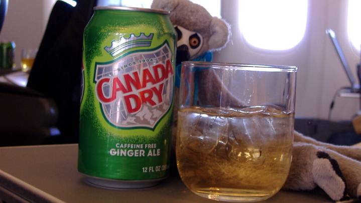 Mennonite Man Tries Unsuccessfully to Get a Buzz from Ginger Ale