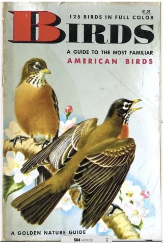 Wired to Watch: We Learn When We Observe