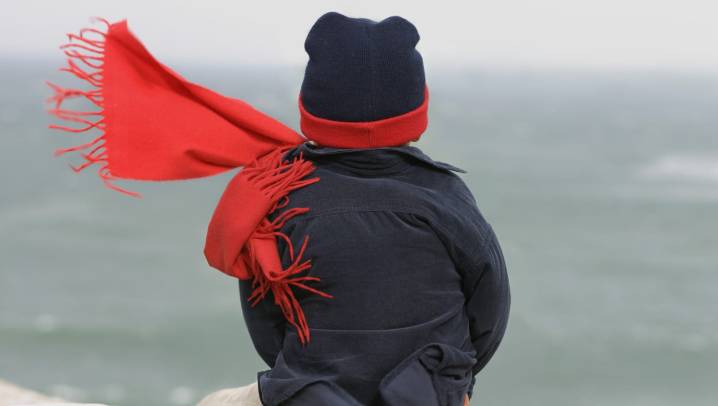 Why is it so cold in Florida? See when Arctic blast moves on