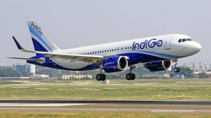 IndiGo loss widens 2.5x on forex hit & higher expenses