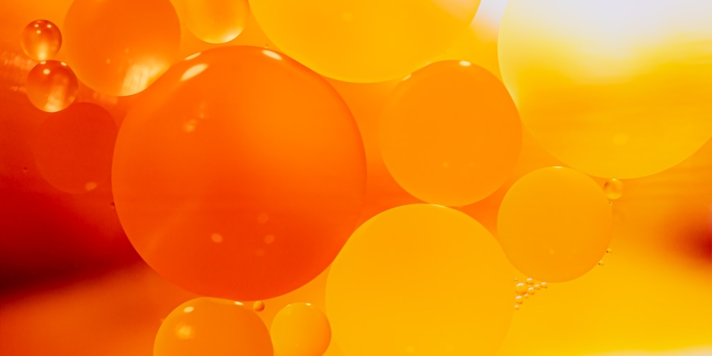 Cuál es el verdadero rol de la grasa en el organismo, según la ciencia