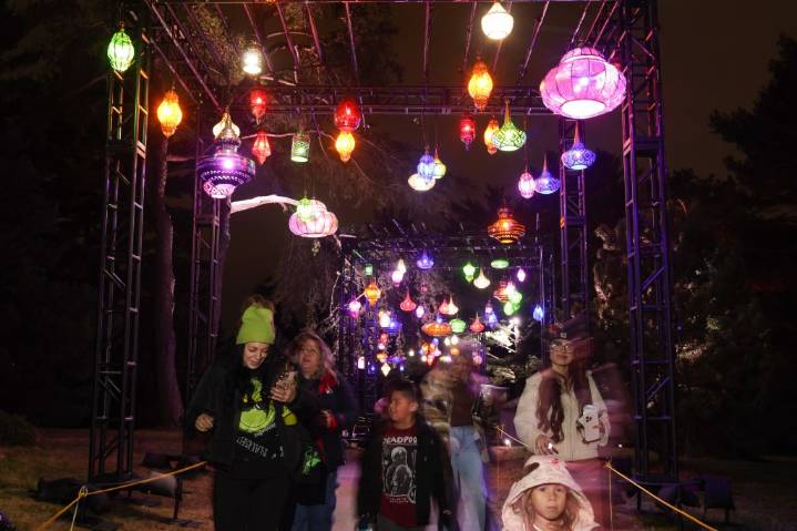 Morton Arboretum's holiday light show highlights nature