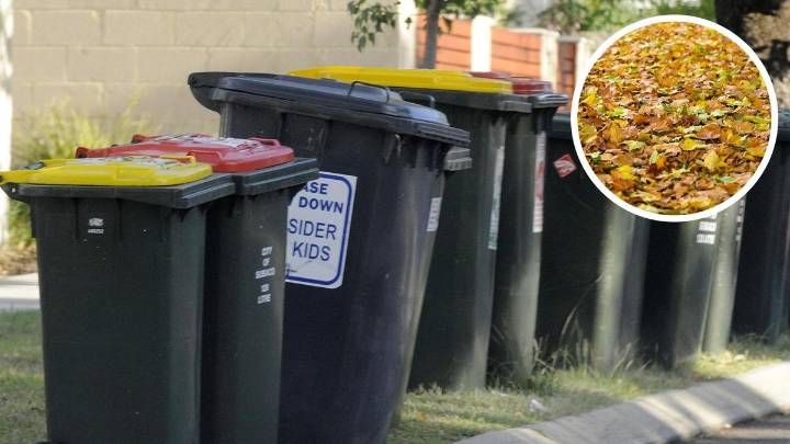 City of Melville residents may receive extra bin to help keep streets clean