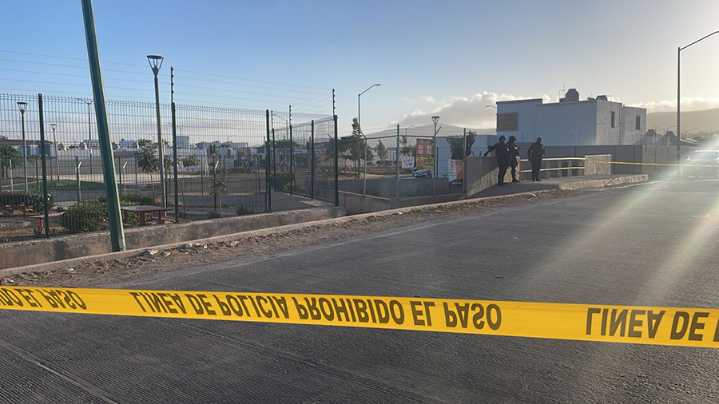 De frente y de perfil