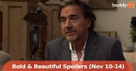 'Bold and the Beautiful' Spoilers: November 10