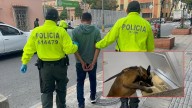 VIDEO | Desmantelan red de microtráfico que operaba dentro de la UIS en Bucaramanga