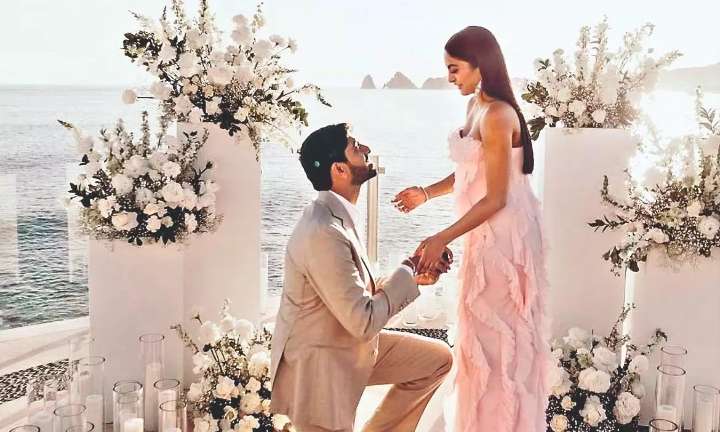 Hollywood Meets Bollywood at Udaipur Wedding Bash