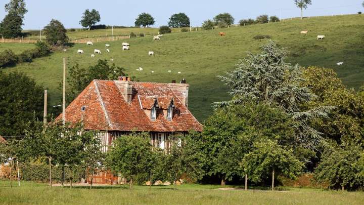 My no-fly French cheese safari via a distillery, holy site and pretty villages