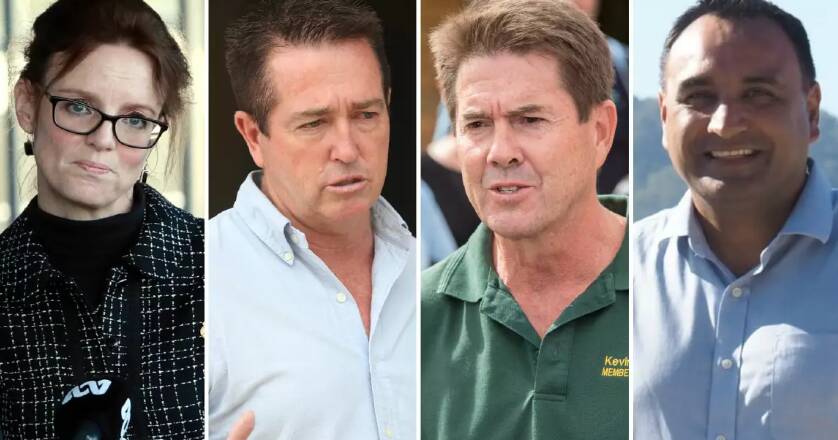 New Nats leader revealed after shock resignation of Dugald Saunders