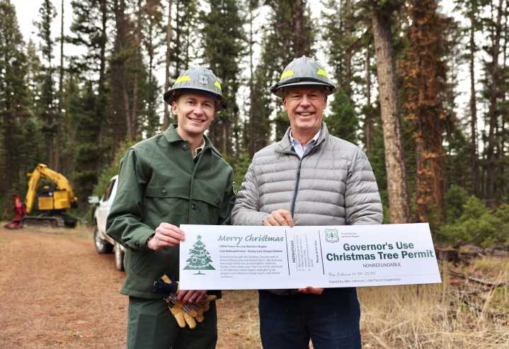 Montana’s Capitol Christmas tree harvested near Seeley