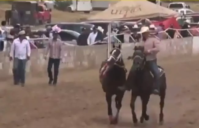 Balacera en carrera de caballos en Chihuahua deja 7 muertos; quedó grabada en transmisión en vivo