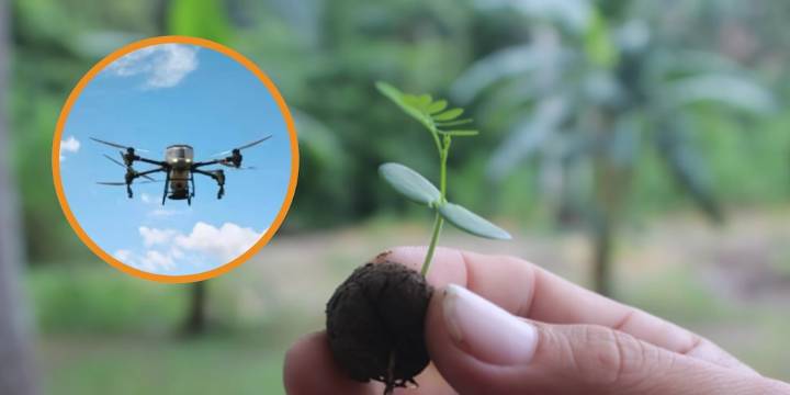 Drones lanzan miles de semillas para reforestar la Amazonía: así funciona la tecnología que restaurará más de 2.000 hectáreas