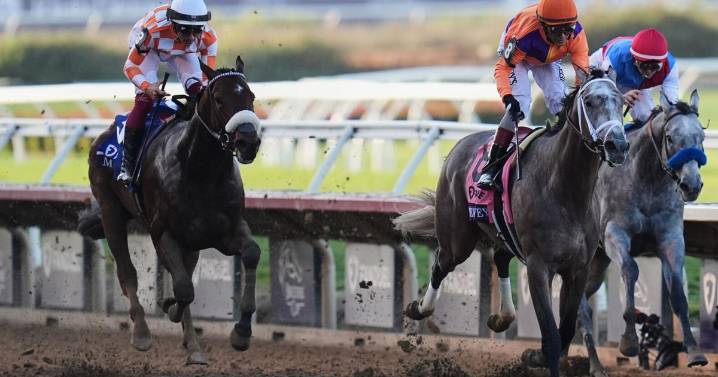 Ted Noffey wins Breeders' Cup Juvenile, becomes early Kentucky Derby favorite