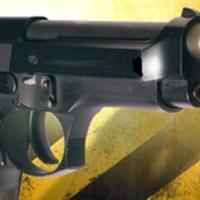 Delaware's permit to purchase rule applies to some attempted purchases before law went into effect