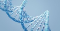 New Approach Could Make Gene-Editing Treatments Faster and Cheaper