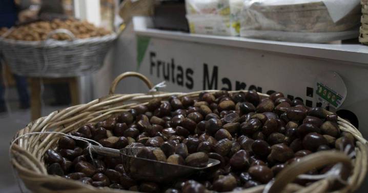 La castaña, una historia con mucho futuro