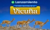 Gobierno Regional de Apurímac realizará el lanzamiento oficial del VI Foro Nacional de la Vicuña en Abancay