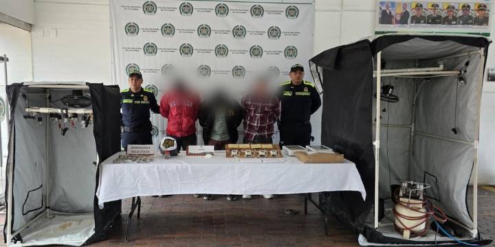 3 capturados al sur de Bogotá por administración de cultivo hidropónico ilegal de marihuana al interior de una vivienda