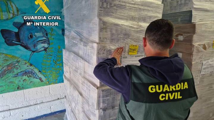 VÍDEO | Intervienen 20 toneladas de marisco y pescado no apto para el consumo humano en Palma