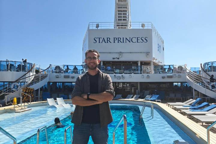 I travelled on the new Star Princess cruise and fell in love with its stellar design