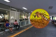 Quintana Roo confirma más de 200 casos de dengue hasta el mes de octubre