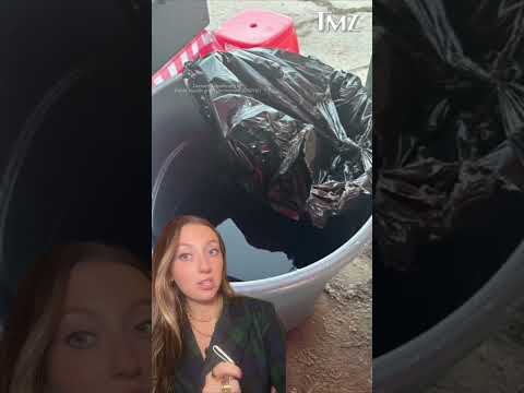 🌮 Health inspectors in Denver went viral after pouring bleach into a street vendor’s food