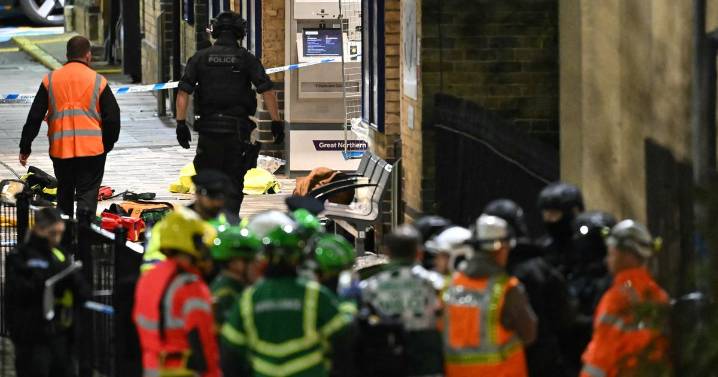 Woman's four-word plea to Huntingdon train stabber as 'hero' staff fights for life