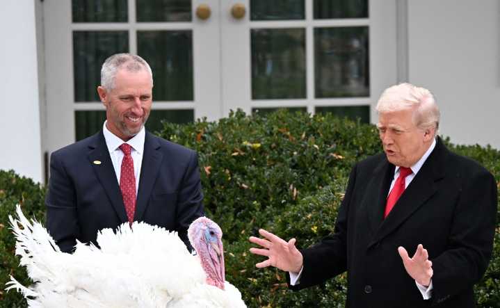 Trump indulta al pavo Gobble previo al Día de Acción de Gracias; Waddle “desaparece en acción”