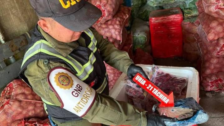 GNB incauta cocaína oculta en fresas congeladas en Táchira