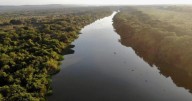 COP30 in Brazil: The Amazon Nears the Brink of Irreversible Damage