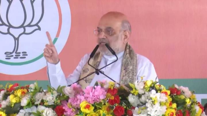 ‘Bihar Will Get Portfolios For Murder, Kidnapping, Extortion If RJD Voted To Power’: Amit Shah