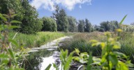 Major new nature reserve in Suffolk sealed with £775K raised