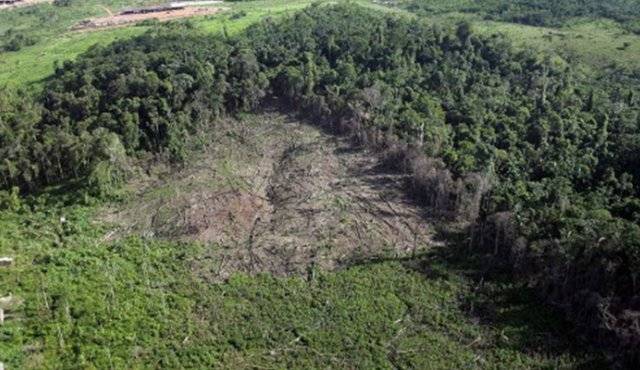 Invertirán 1 millón de euros en Leticia