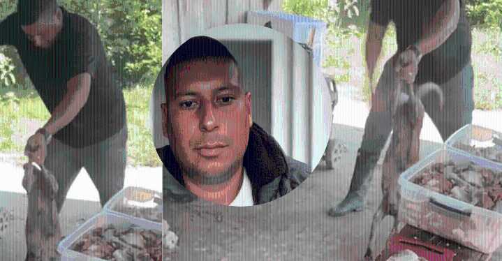 ¡Indignación! hombre maltrató a perro hasta causarle la muerte en Sonsón, Antioquia El agresor, Fernando Oviedo, huyó al municipio de Nechí para evadir a las autoridades.