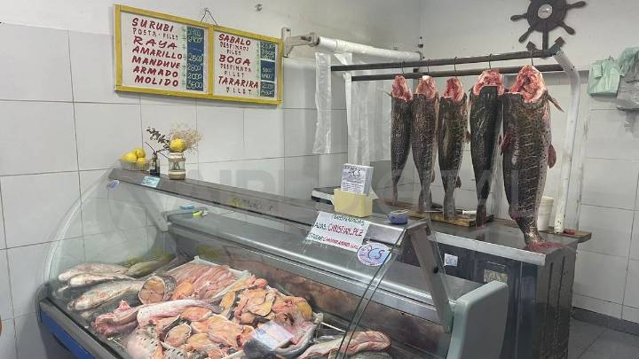 "No se puede cuidar el recurso si las reglas no son iguales para todos", dicen los pescadores