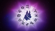 Taurus Horoscope Today, 20 November 2025: Let calm guide your momentum today