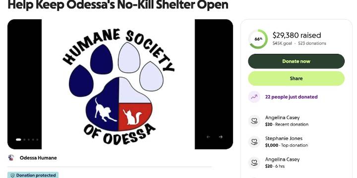 Varias mascotas en refugio de Odessa necesitan de su ayuda