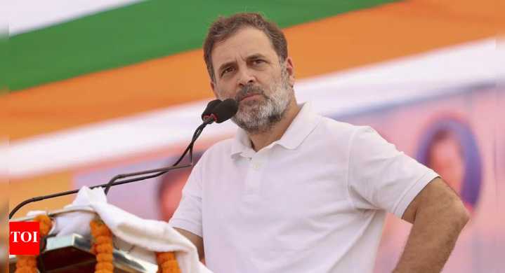 '10% control the Army': Rahul Gandhi's caste claim at Bihar rally, says 90% Indians 'nowhere to be found'