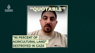“95 percent of agricultural land” destroyed in Gaza